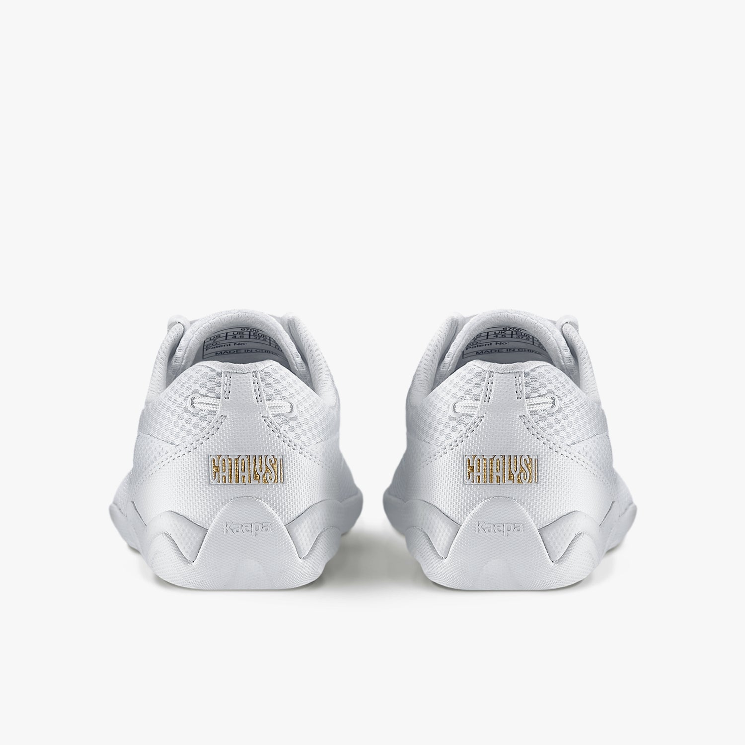 Catalyst AM1
